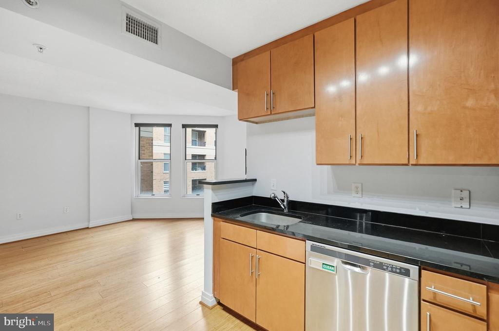 915 E STREET NW 1003