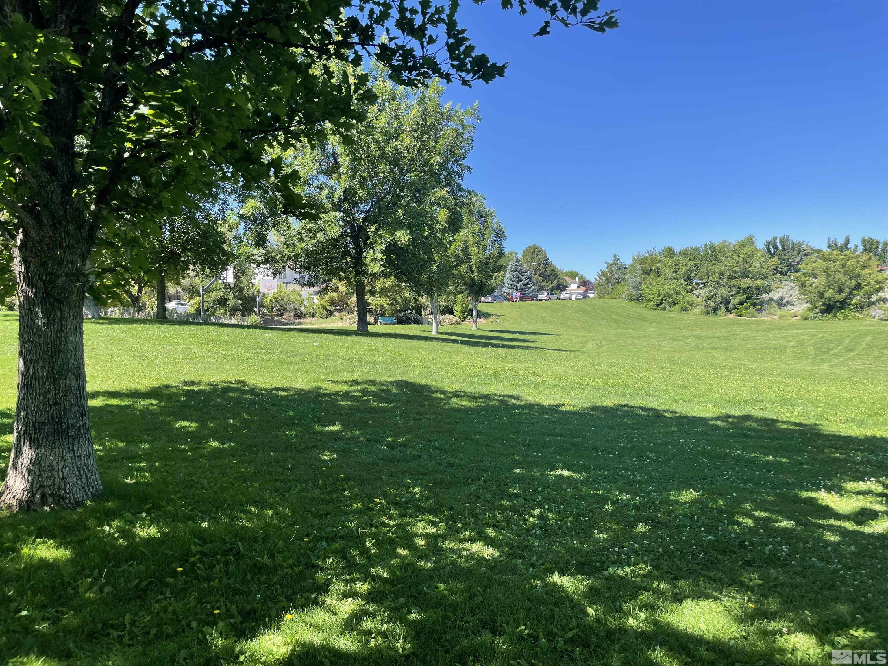 953 Edgecliff Dr.