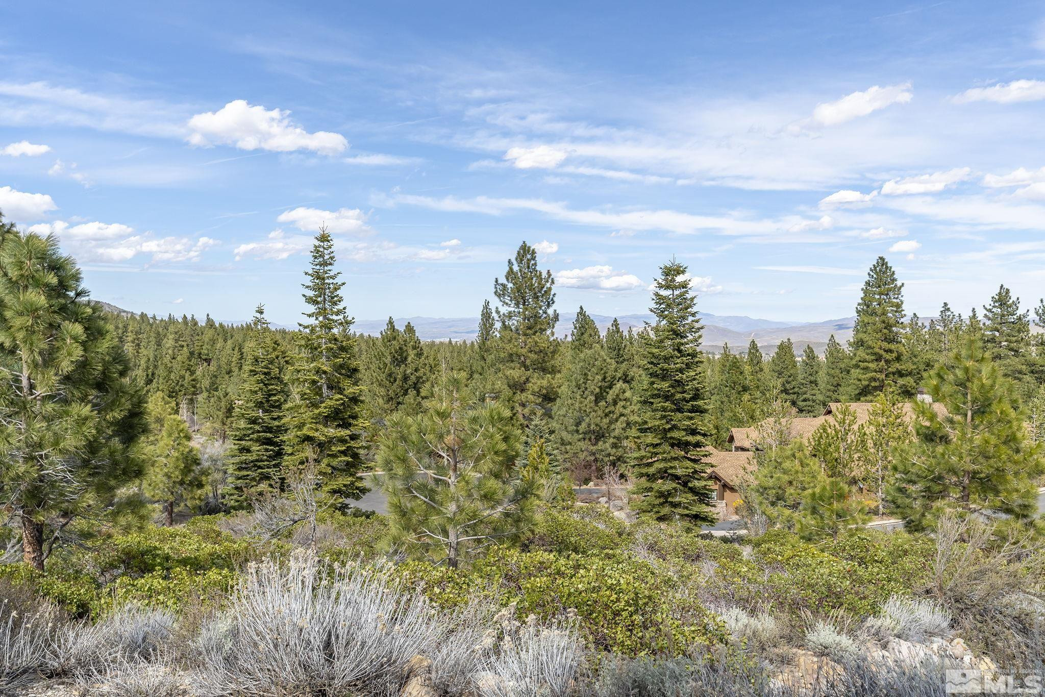 240 E Jeffrey Pine Road