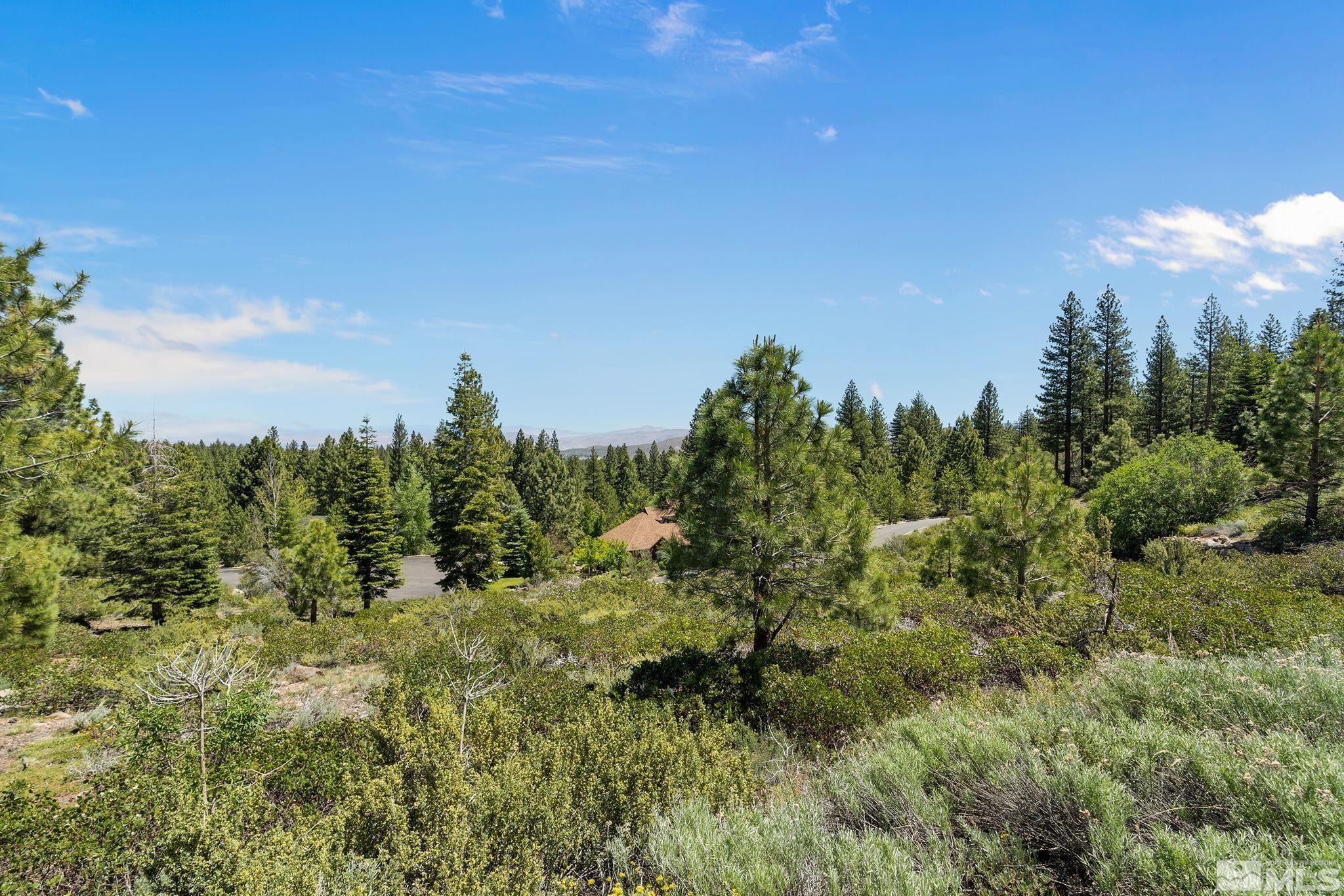 240 E Jeffrey Pine Road
