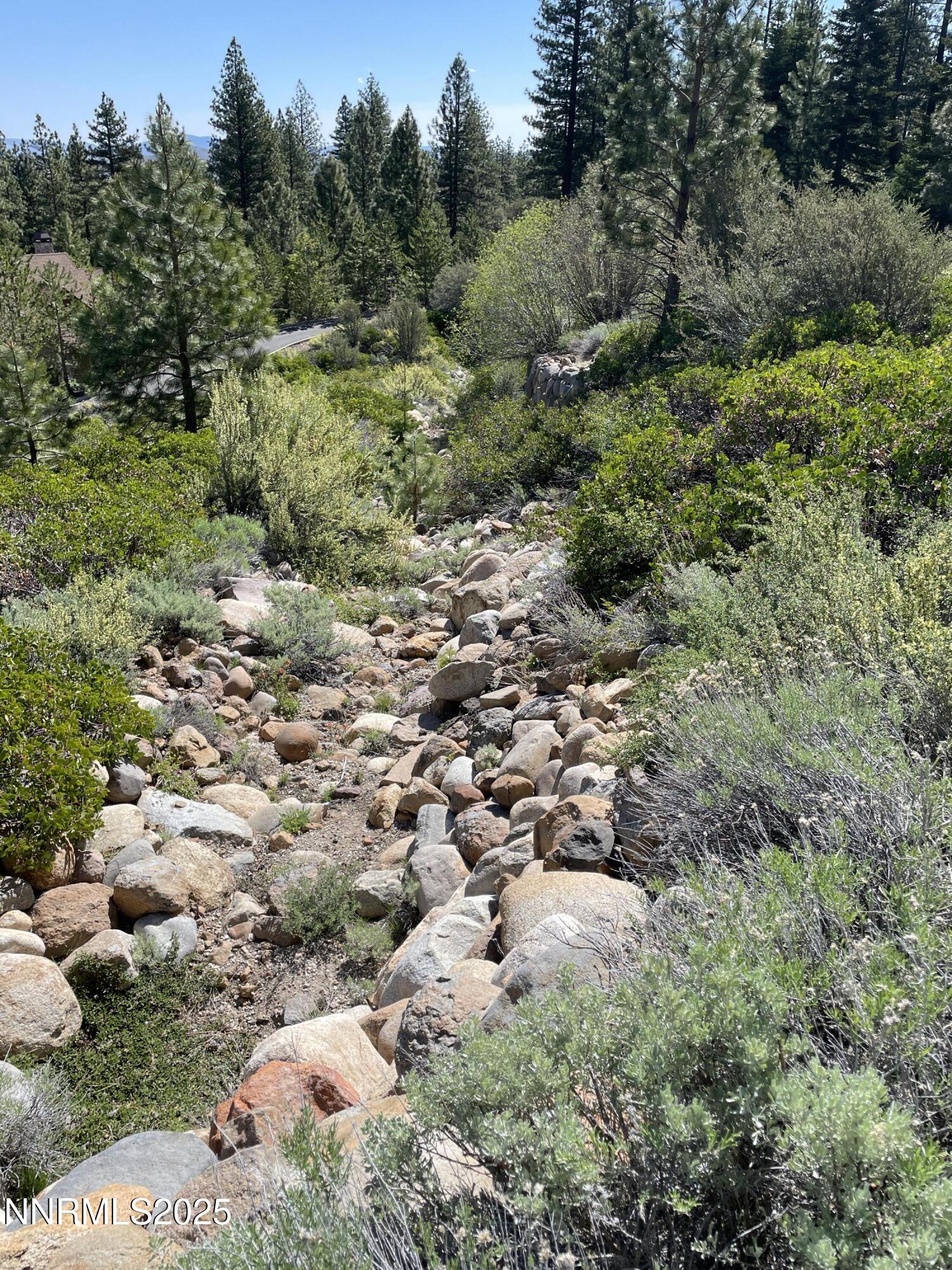 240 E Jeffrey Pine Road
