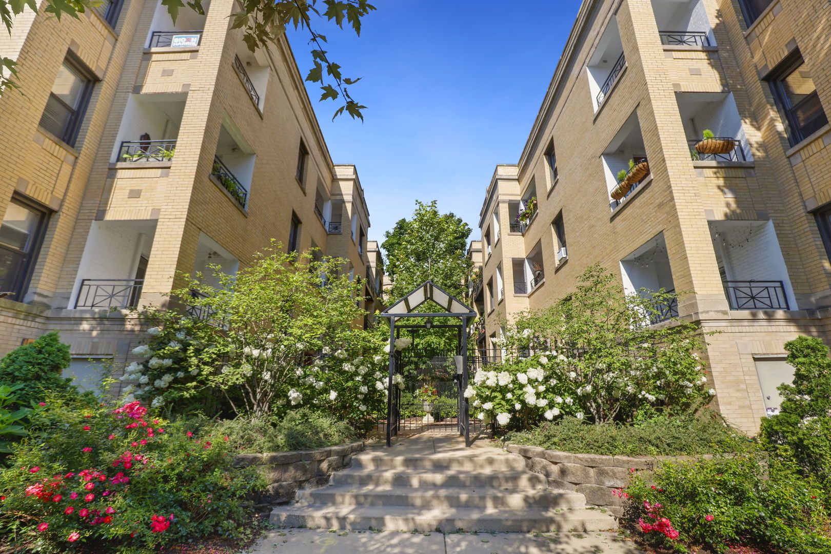 5924 N Paulina Street Unit: 3E