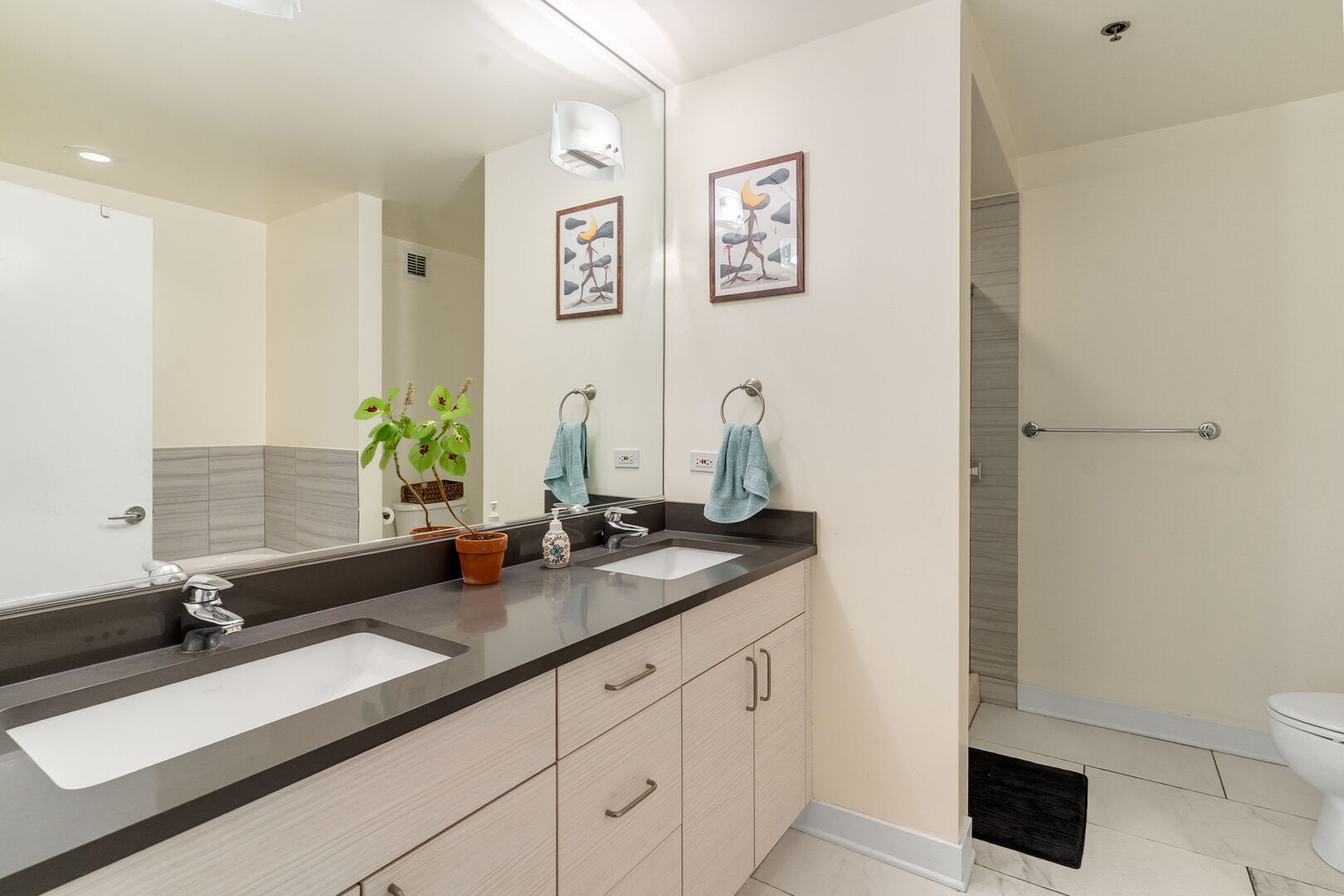 737 W Washington Boulevard Unit: 1204