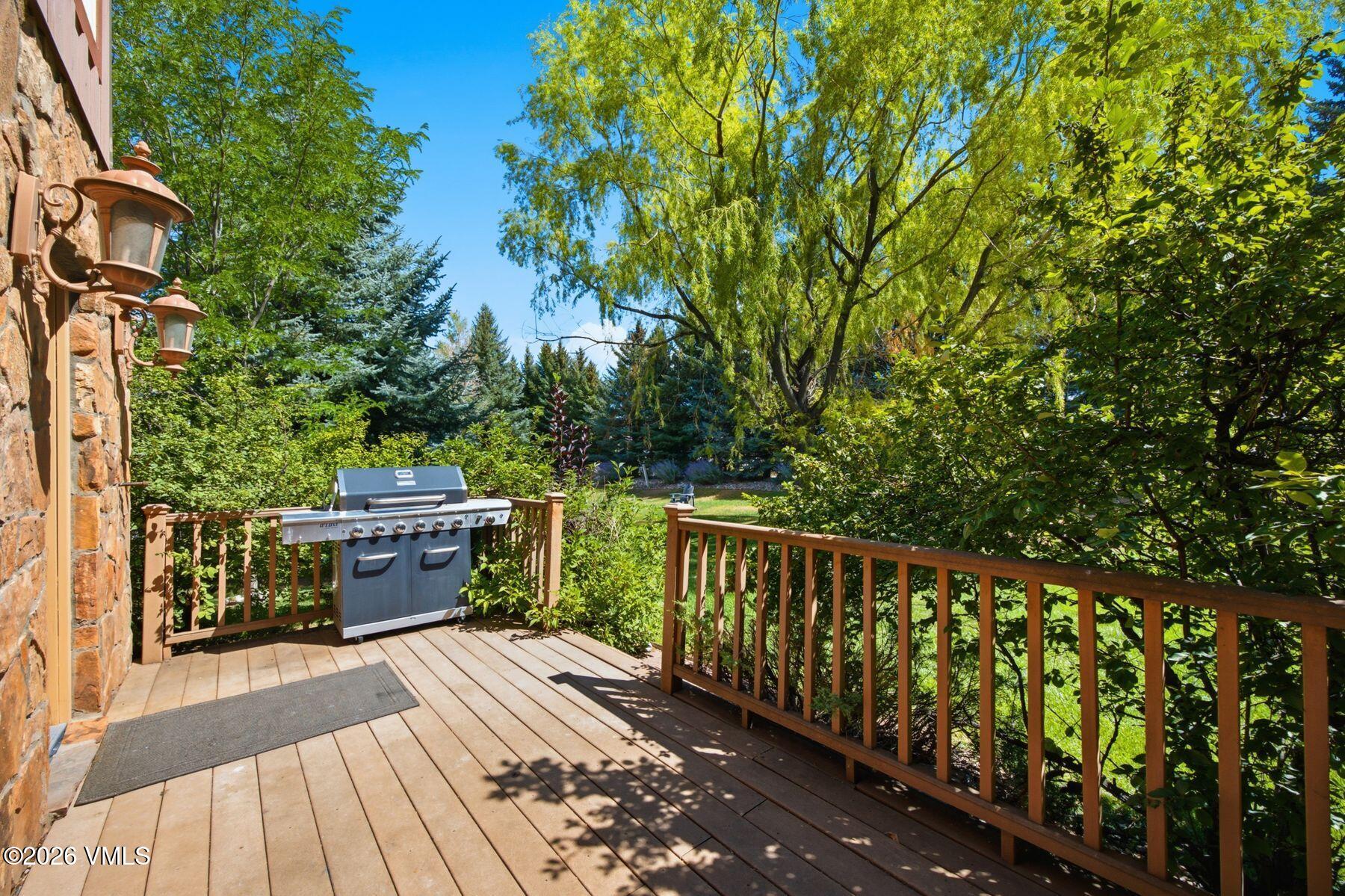 351 Black Bear Drive