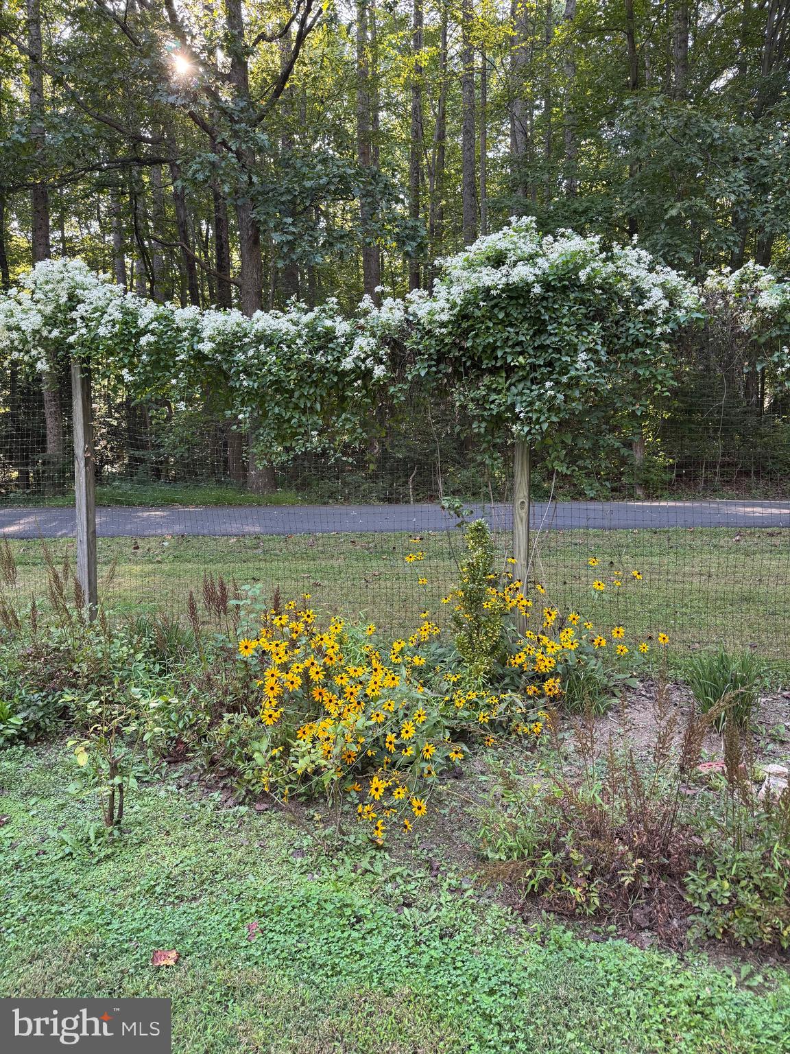 7293 PEPPER LANE