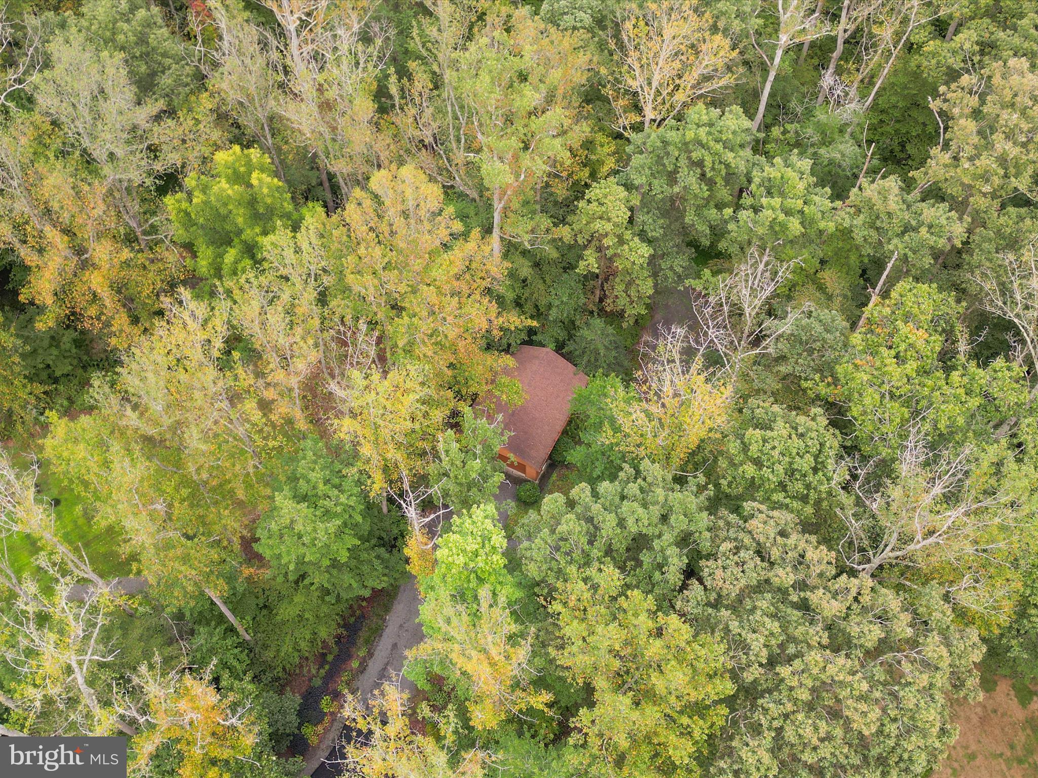 7293 PEPPER LANE
