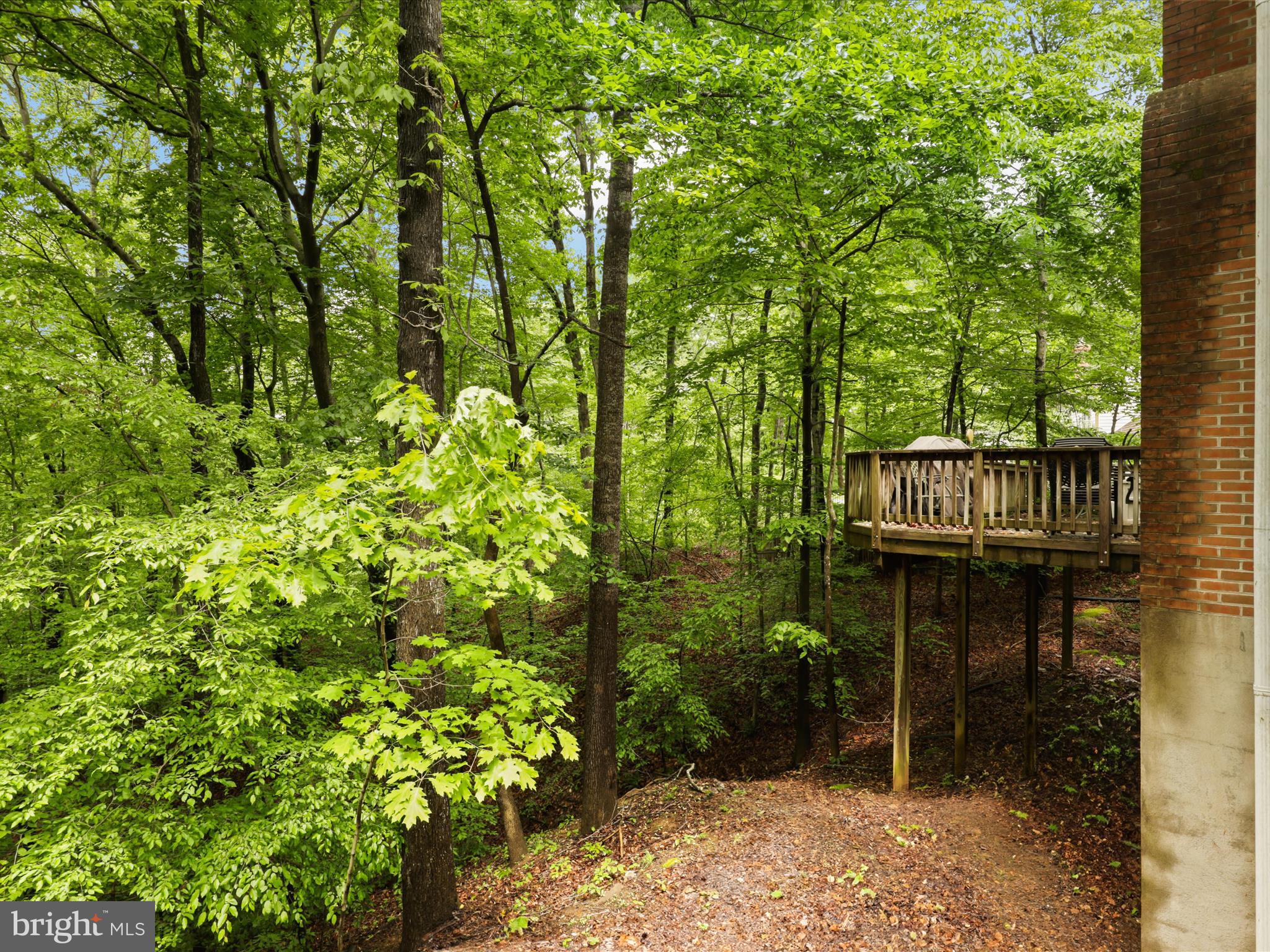 5135 Cannon Bluff Dr
