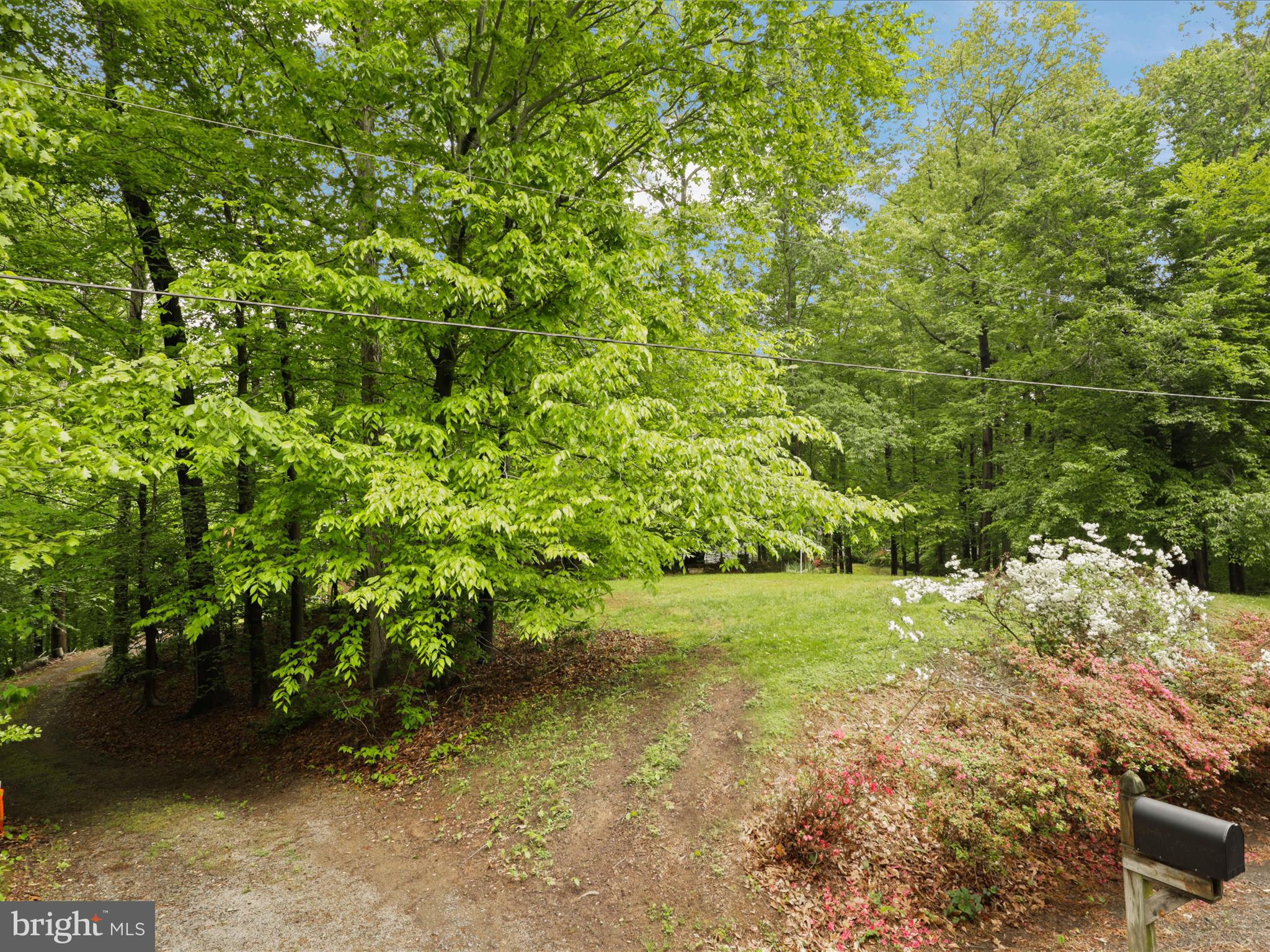 5135 Cannon Bluff Dr