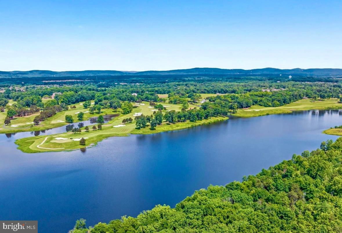 14489 Bluff Point Ct