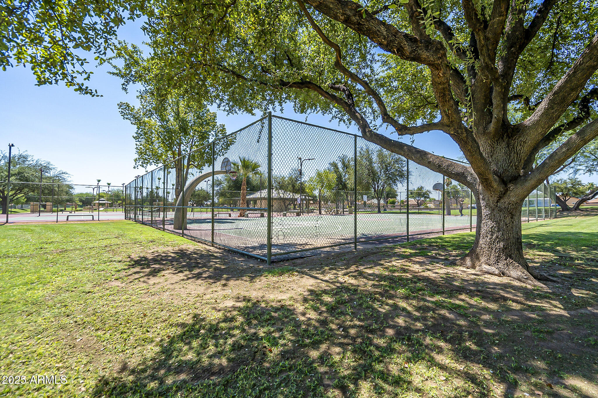 15028 W BOTTLE TREE Avenue