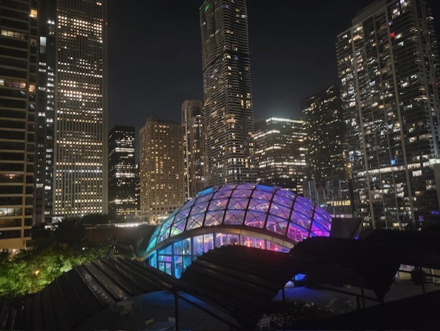 400 E Randolph Street Unit: 826