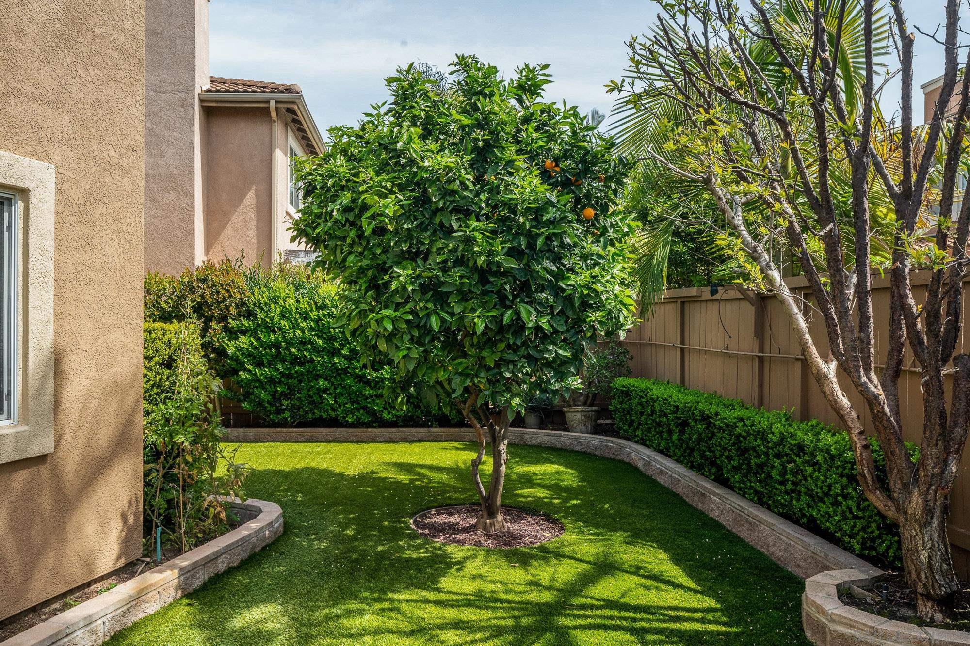 4307 Meadow Spring Way