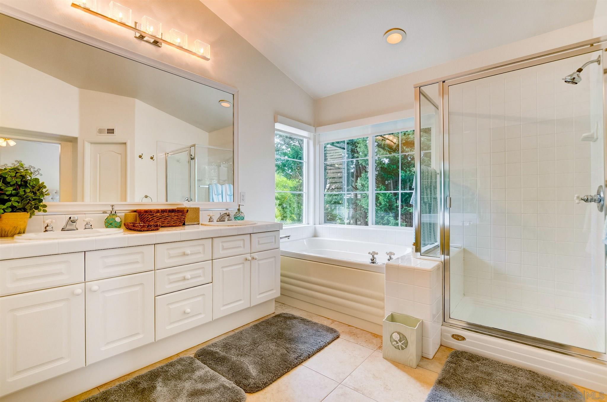 12655 Caminito Radiante