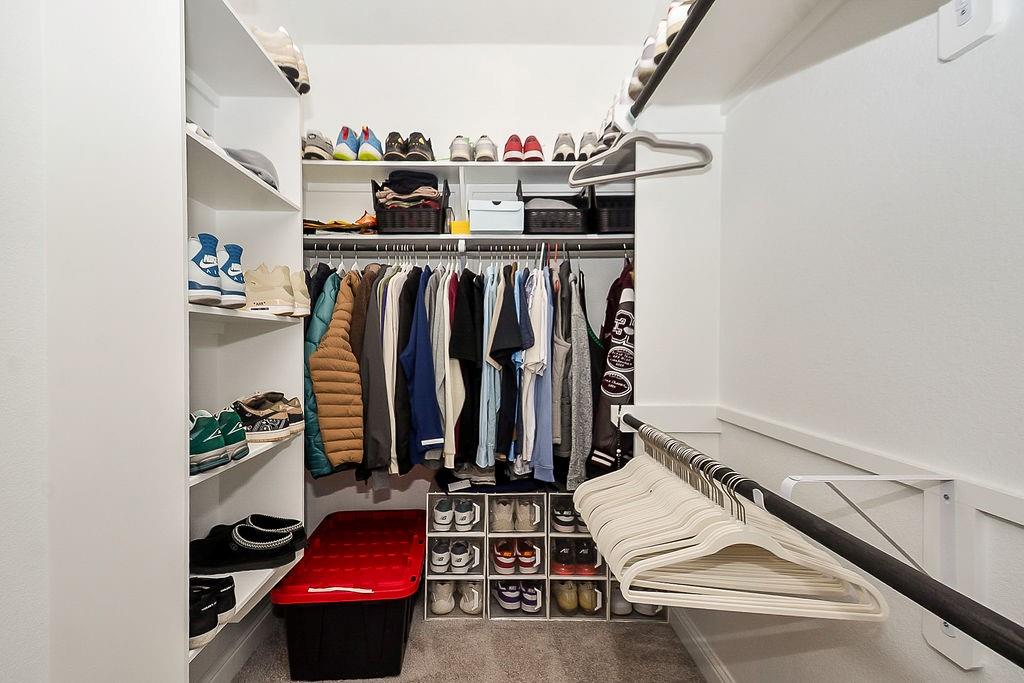 21707 Prickly Caterpillar Court