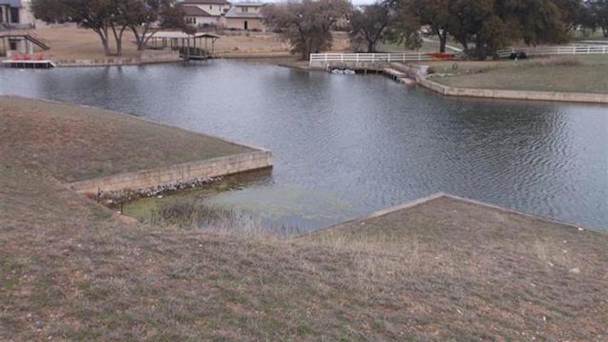 121 Blue Heron