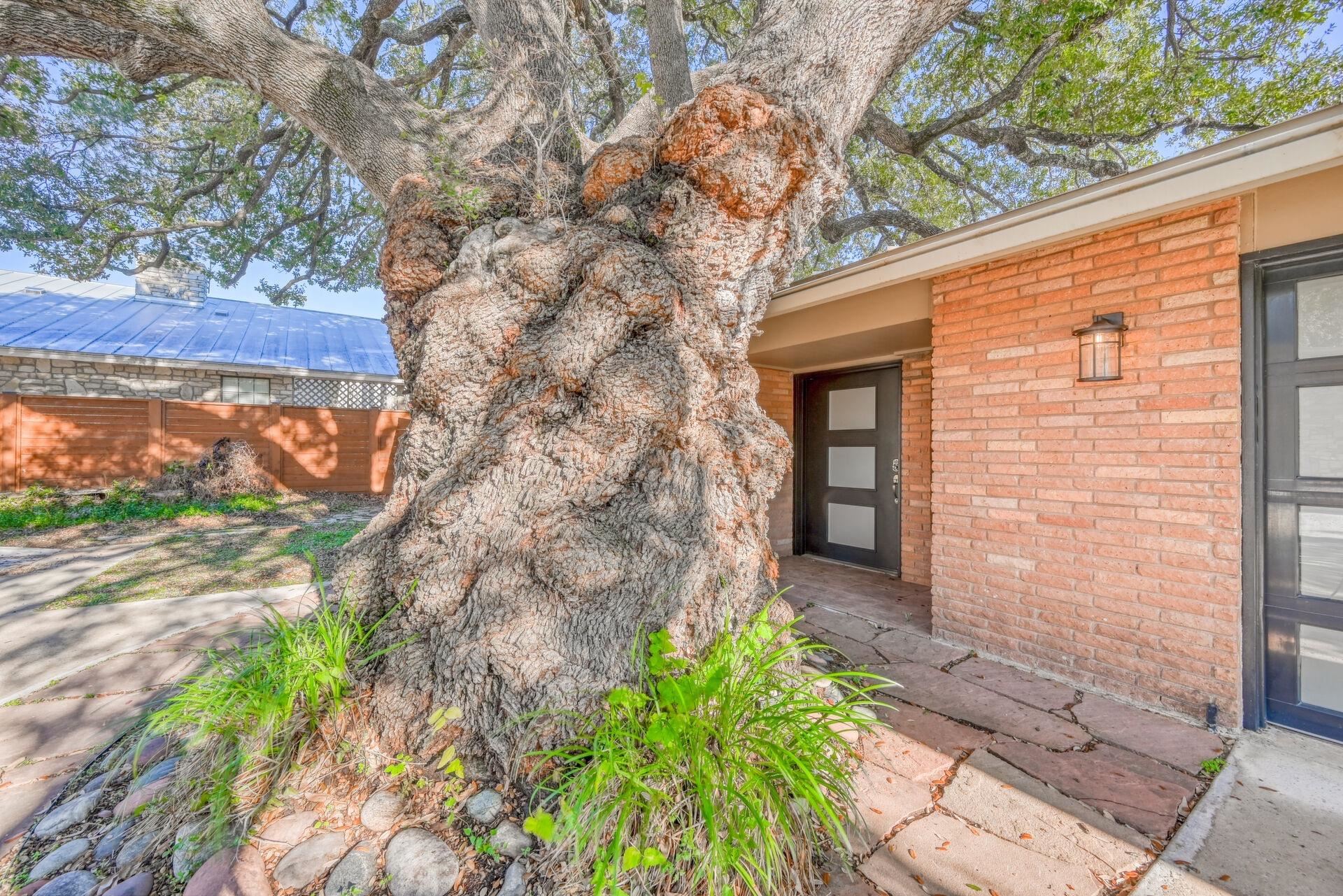 801 Loma Linda