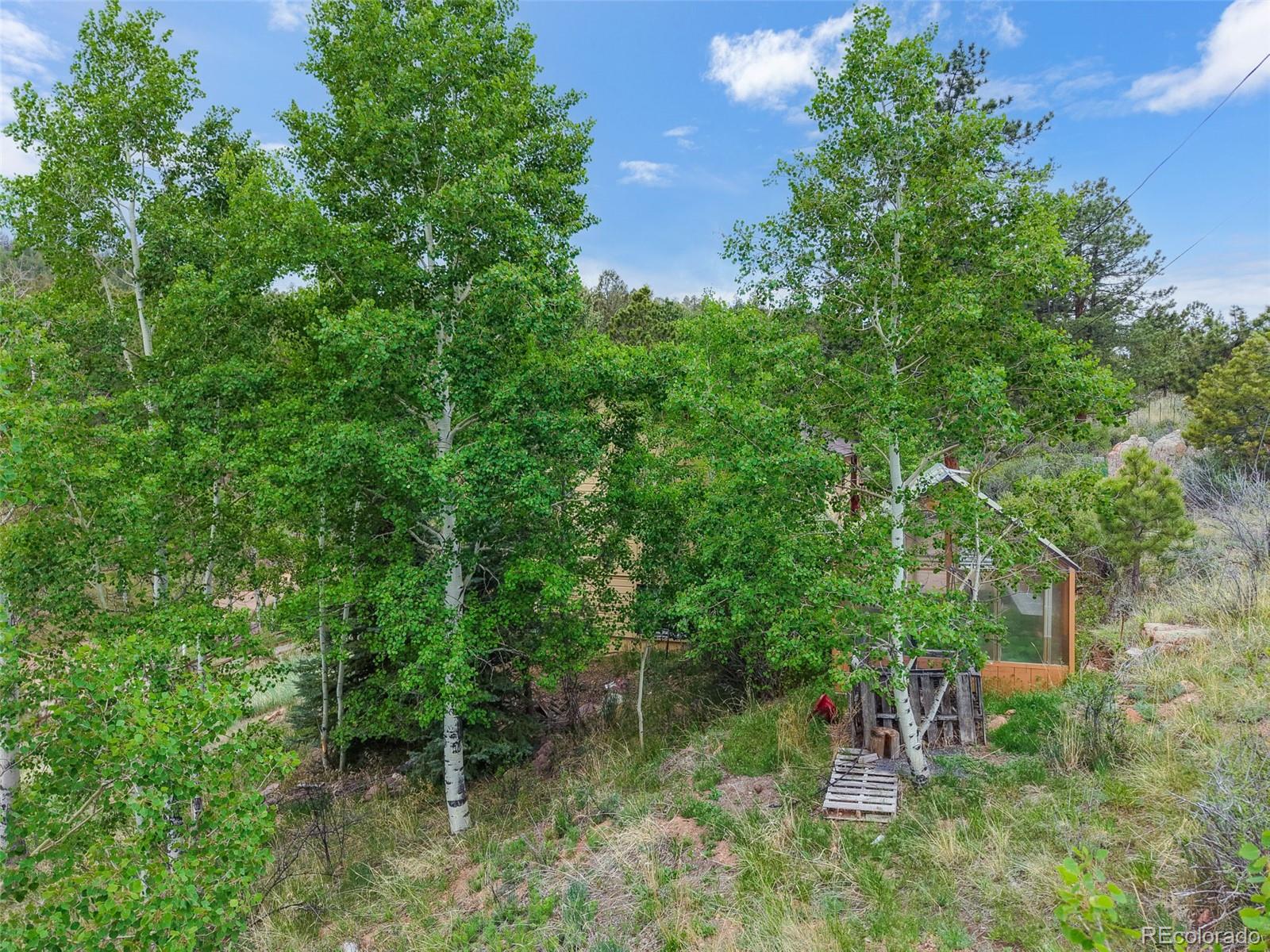 33799 Warren Road