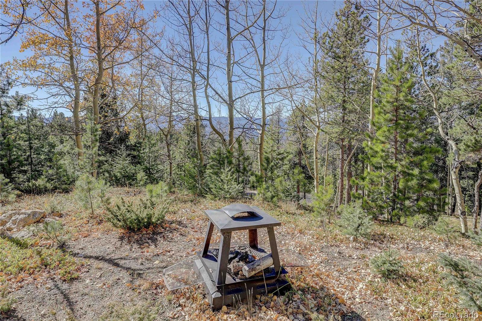 11142 Conifer Mountain Road