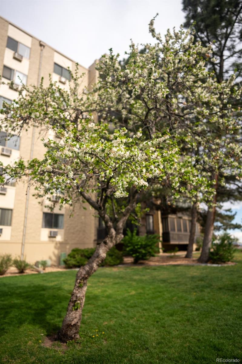 14091 E Marina Drive Unit: 612