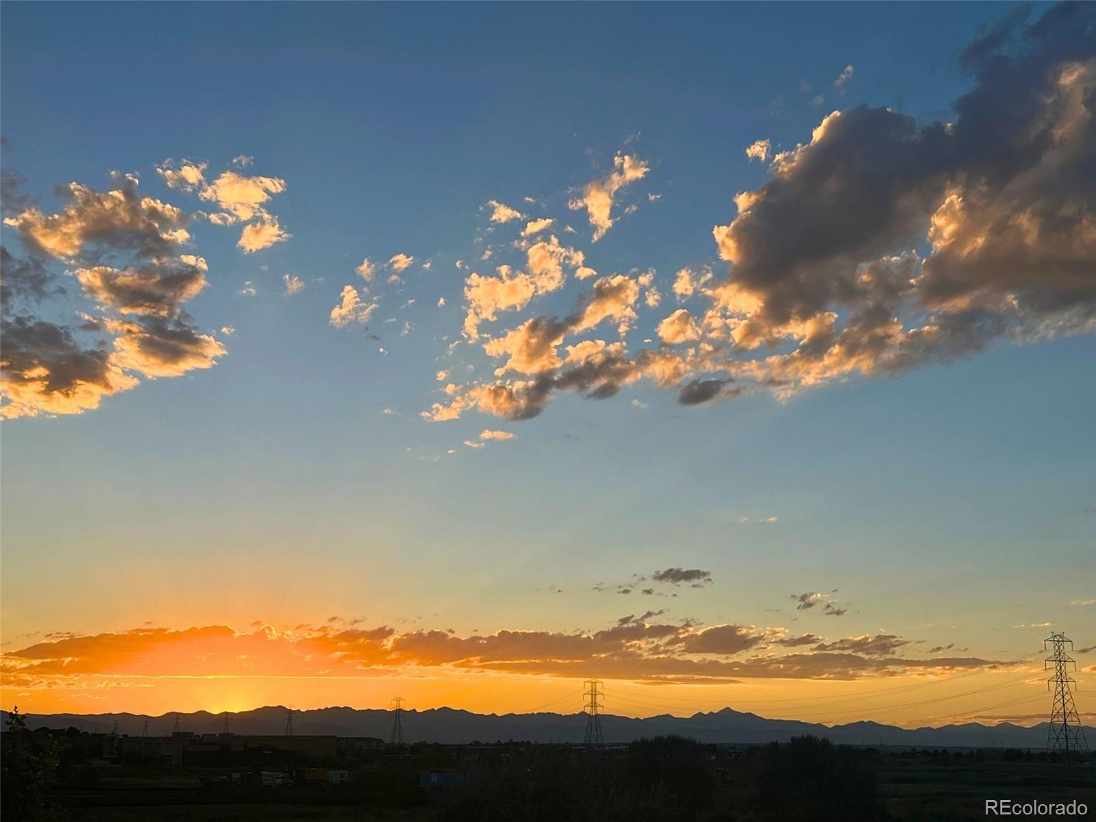 10227 Norfolk Street