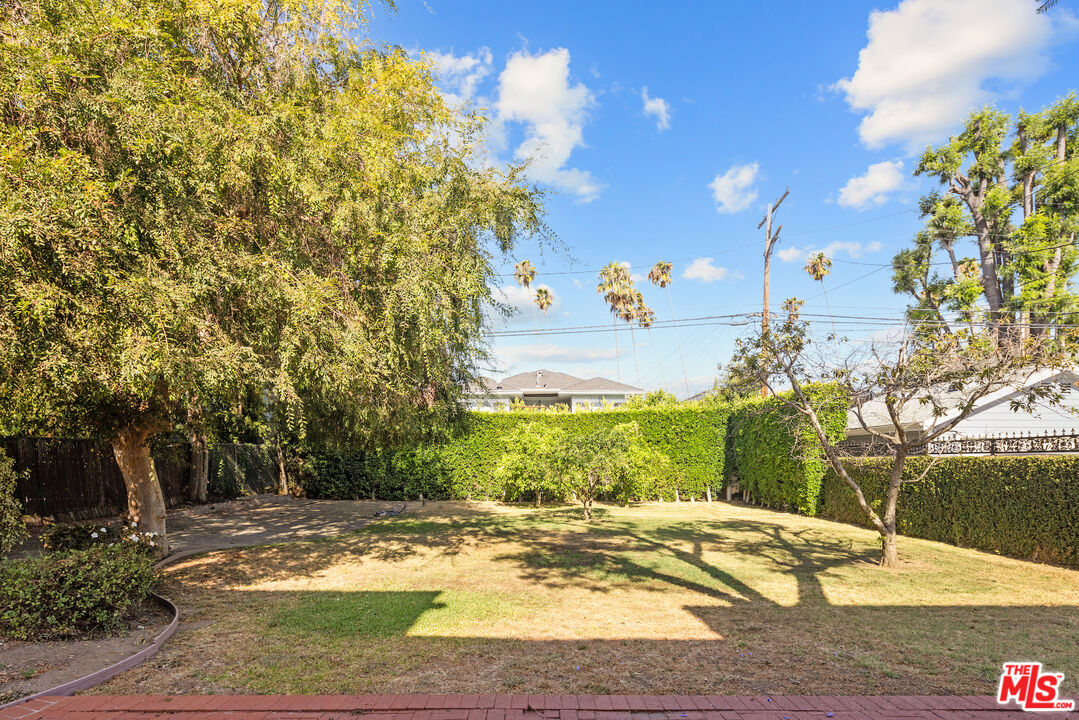 1253 3rd Ave