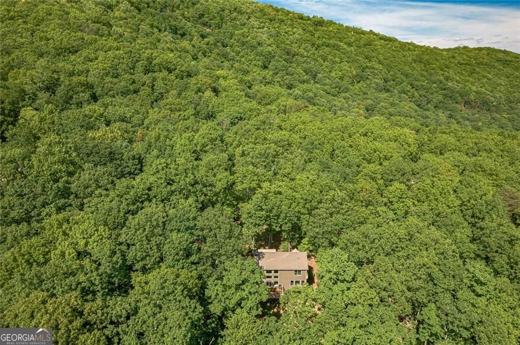 61 Deer Run Ridge