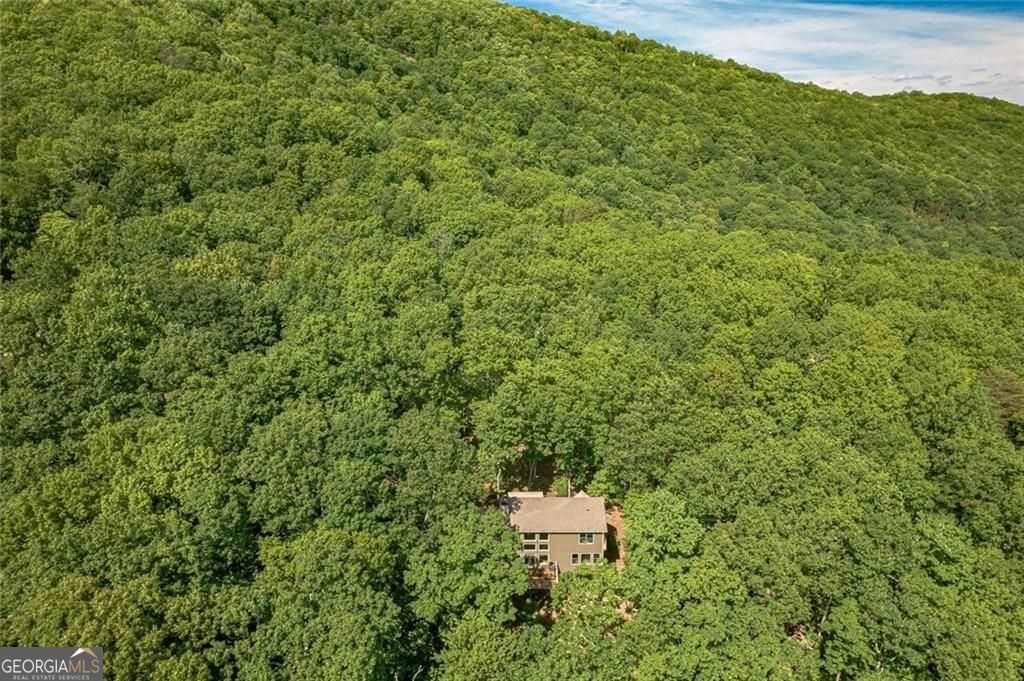 61 Deer Run Ridge