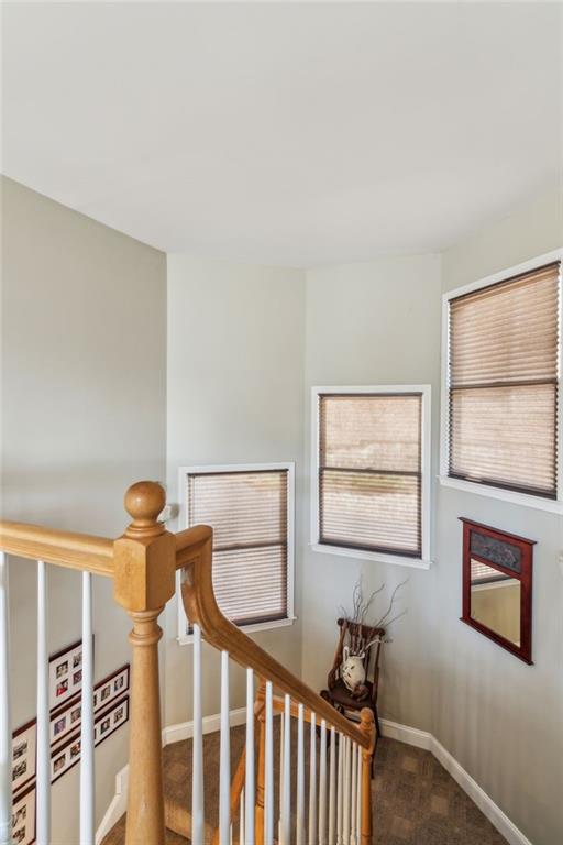 72 Foxglove Circle
