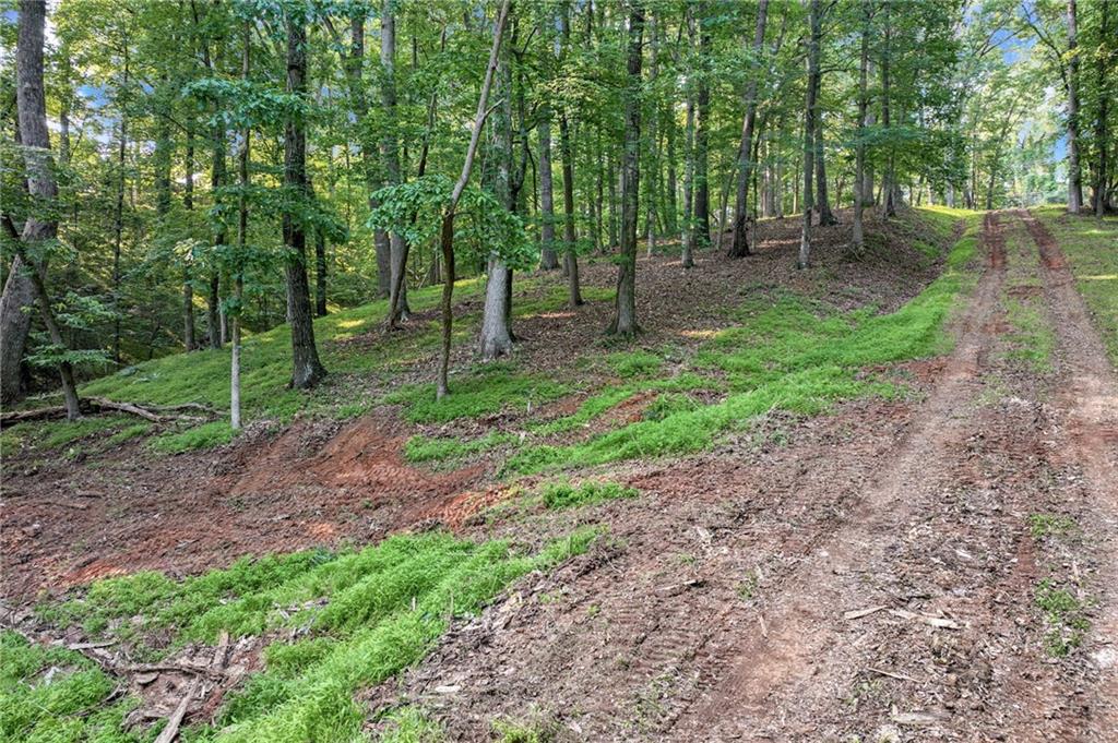 2020 War Hill Park Road