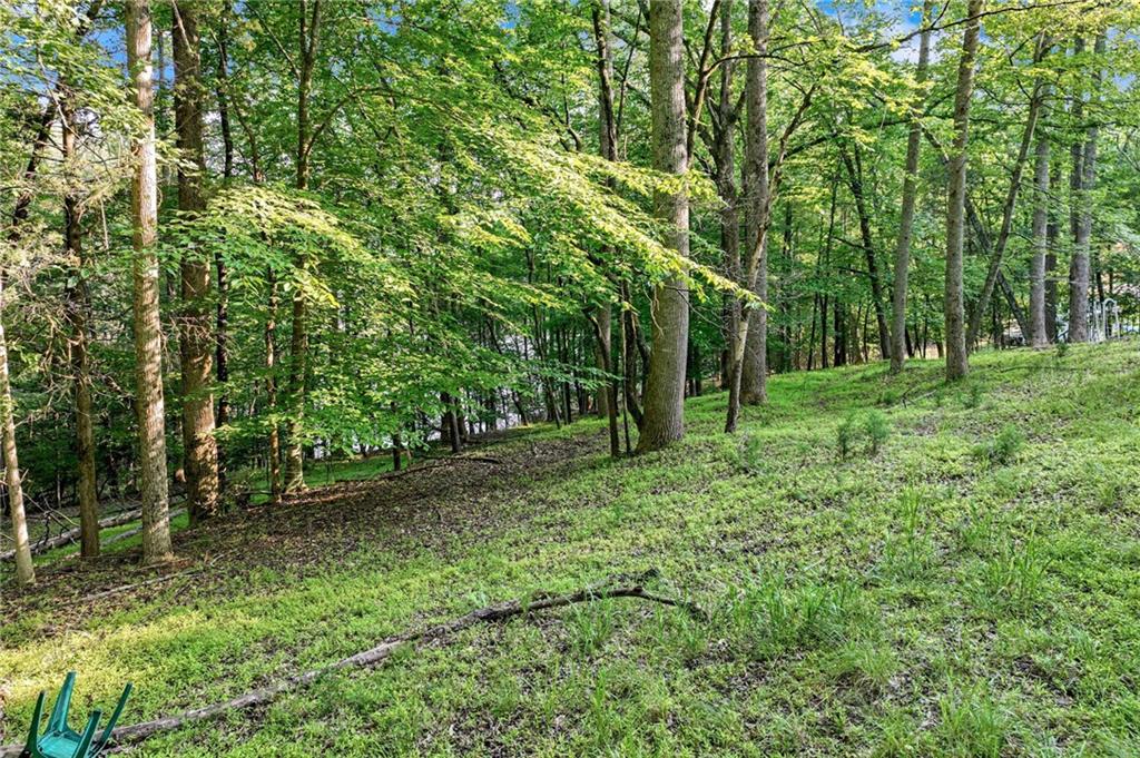 2020 War Hill Park Road