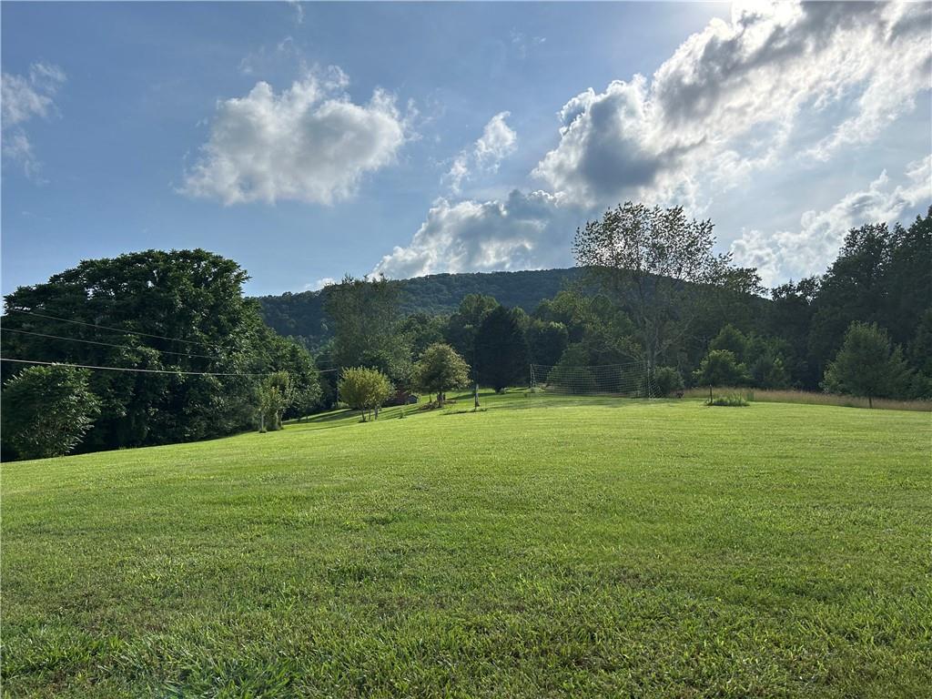 2838 Skitts Mountain Road