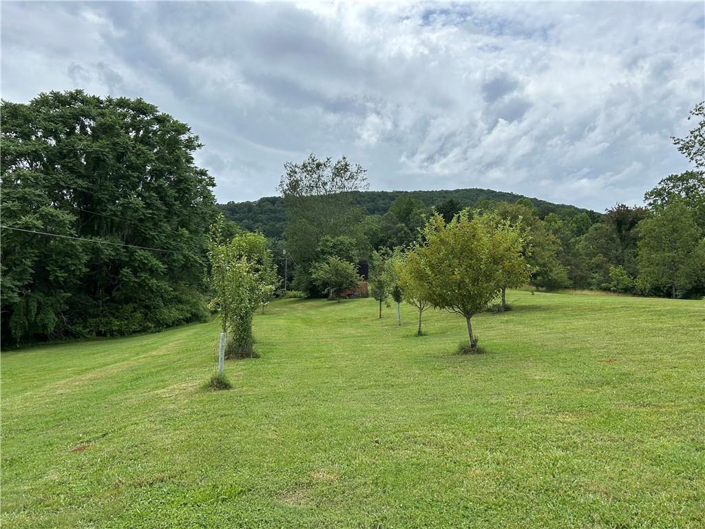 2838 Skitts Mountain Road