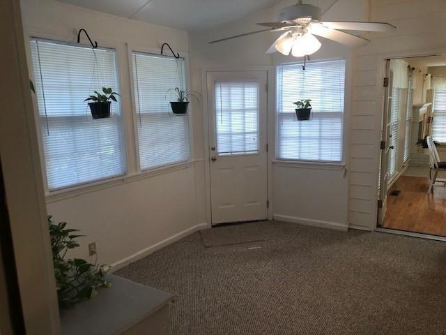 3305 Cove Creek Lane