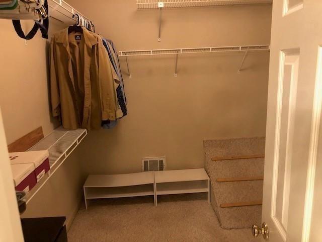 3305 Cove Creek Lane