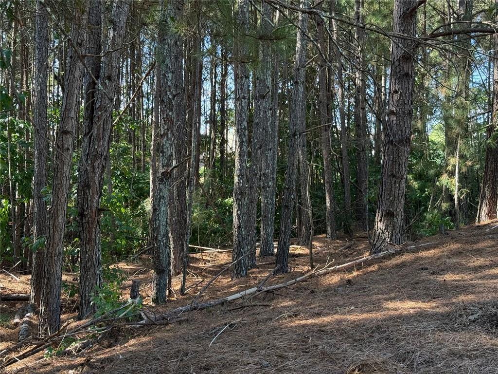310 Burgess Mill Trail