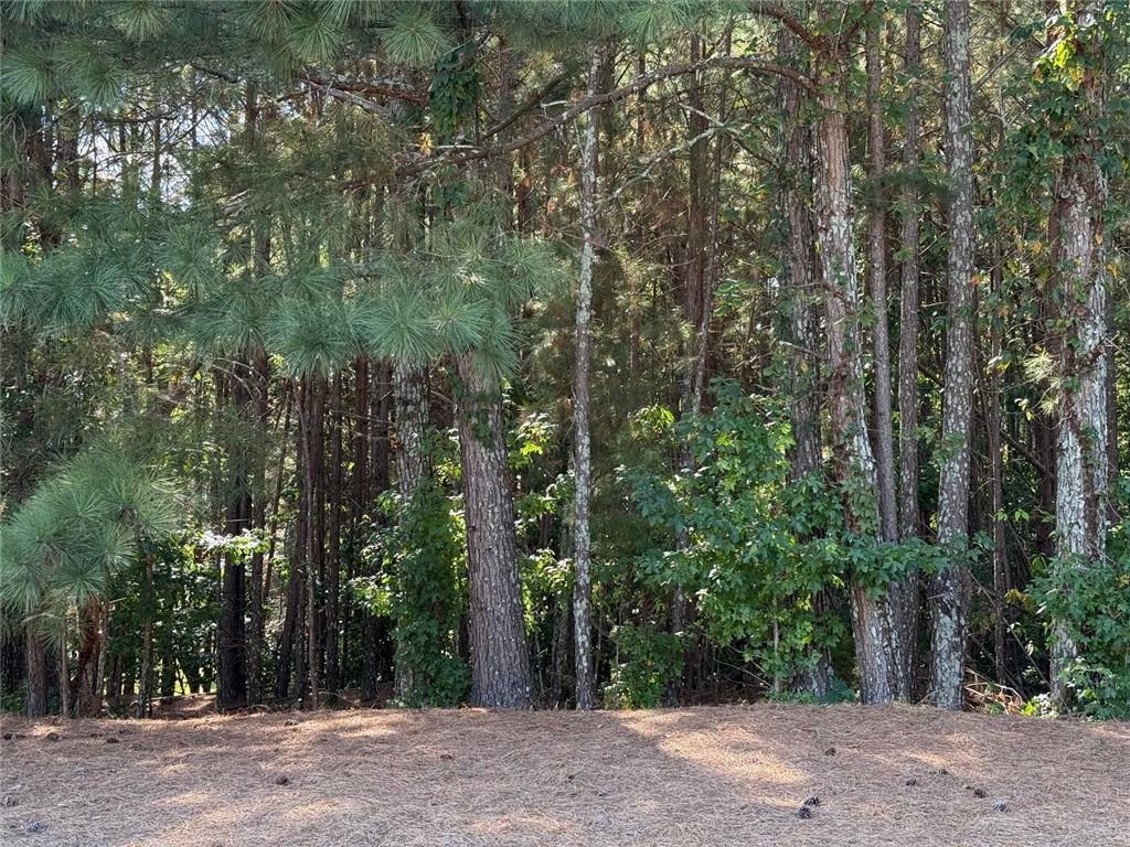 310 Burgess Mill Trail