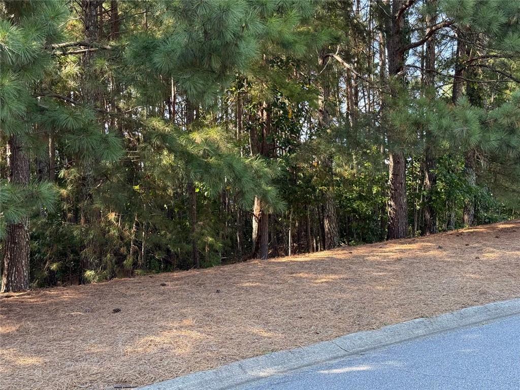 310 Burgess Mill Trail