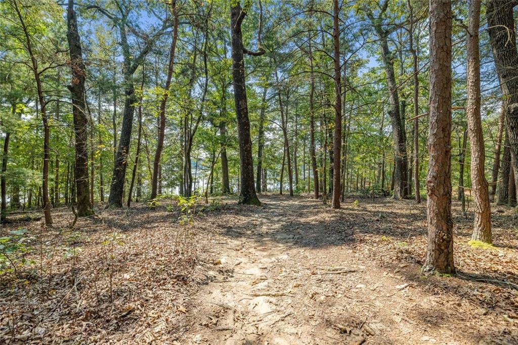 3435 Chestatee Road