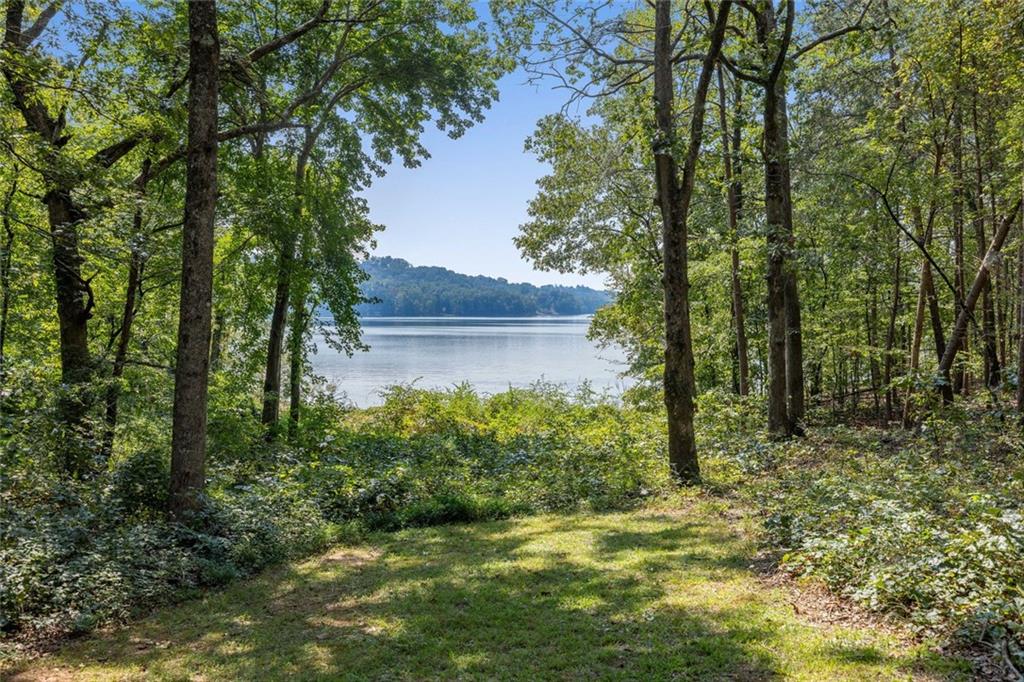 3435 Chestatee Road