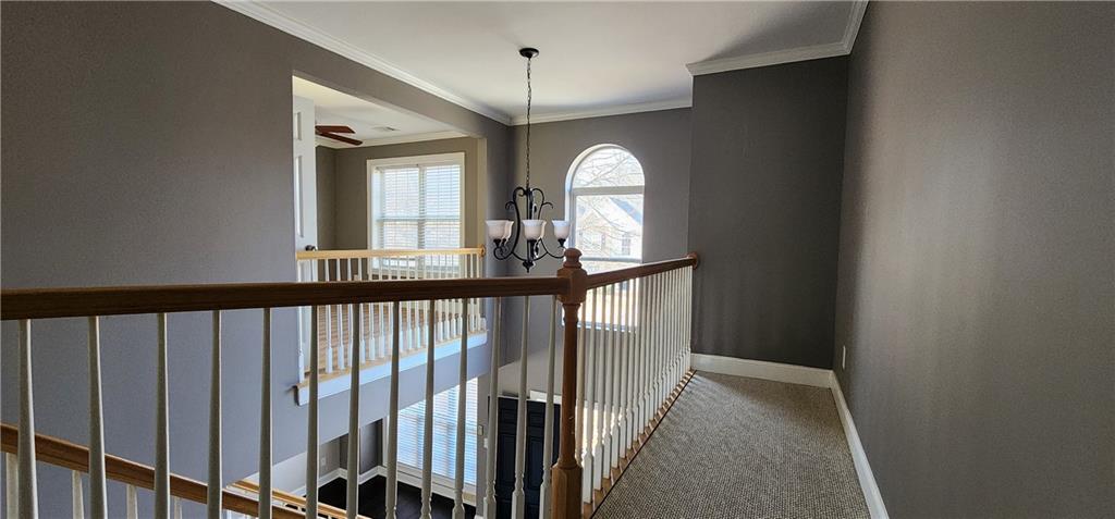 1566 Andrew Hills Court