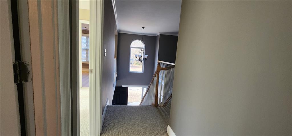 1566 Andrew Hills Court