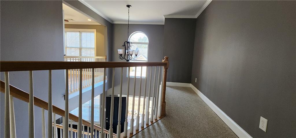 1566 Andrew Hills Court