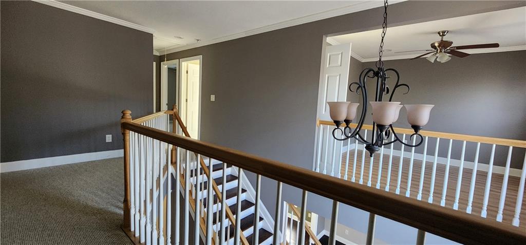 1566 Andrew Hills Court