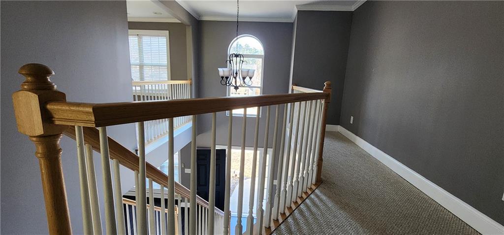 1566 Andrew Hills Court