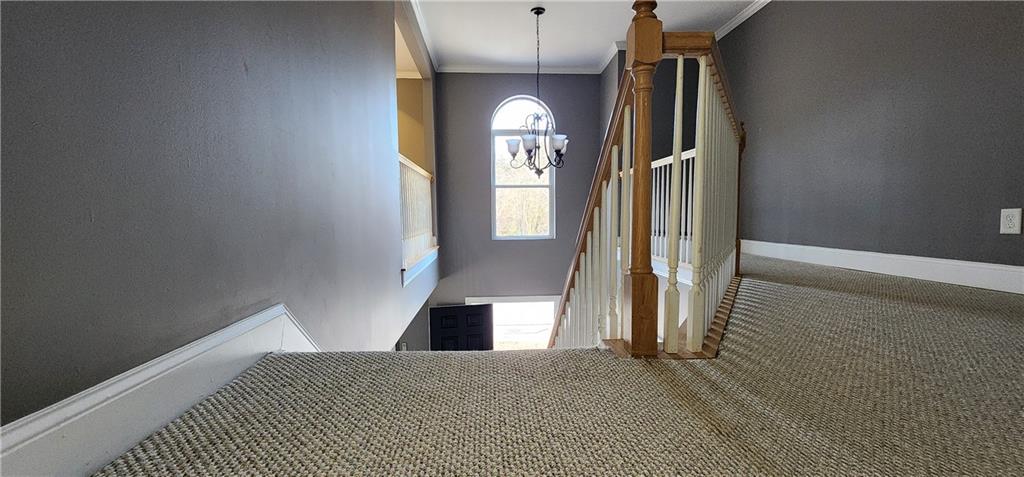 1566 Andrew Hills Court