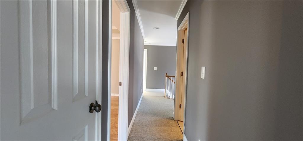 1566 Andrew Hills Court