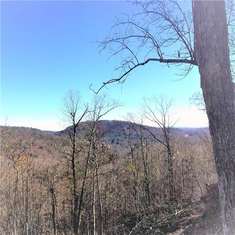 8104 Wilderness Parkway