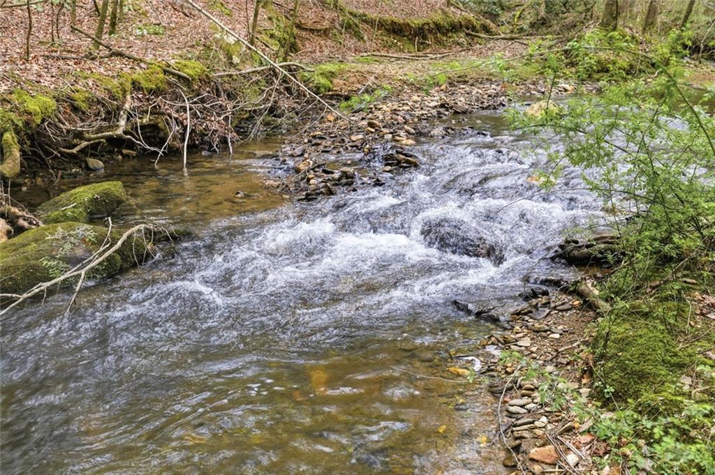 109 Clayton Gooch Road