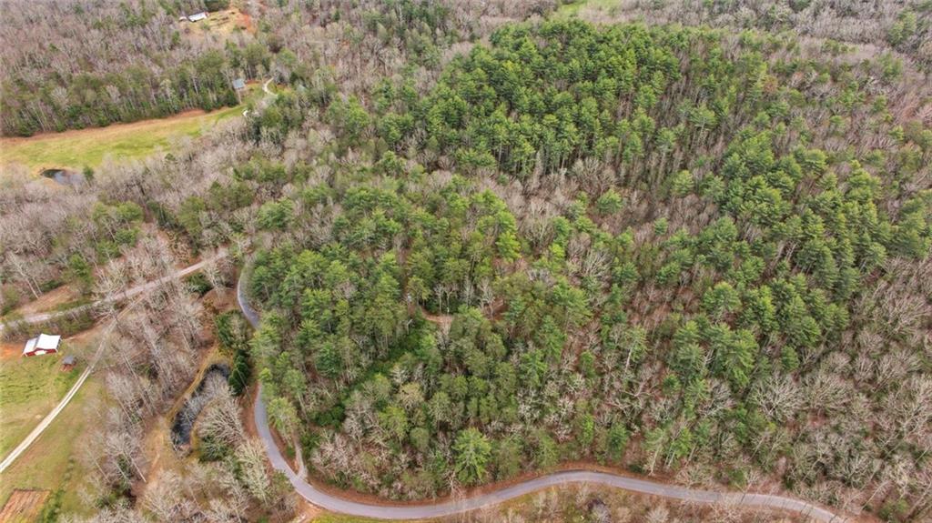 109 Clayton Gooch Road