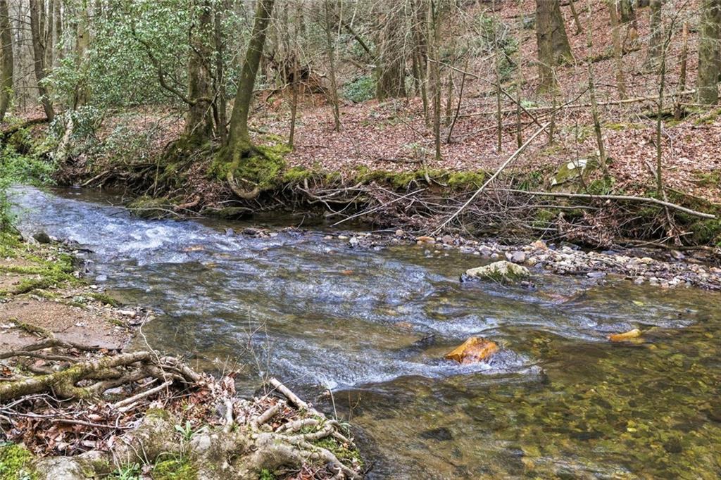 109 Clayton Gooch Road